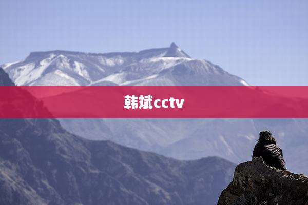 韩斌cctv