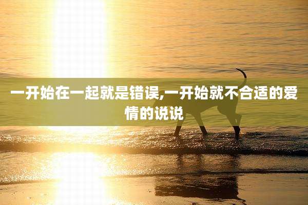 一开始在一起就是错误,一开始就不合适的爱情的说说