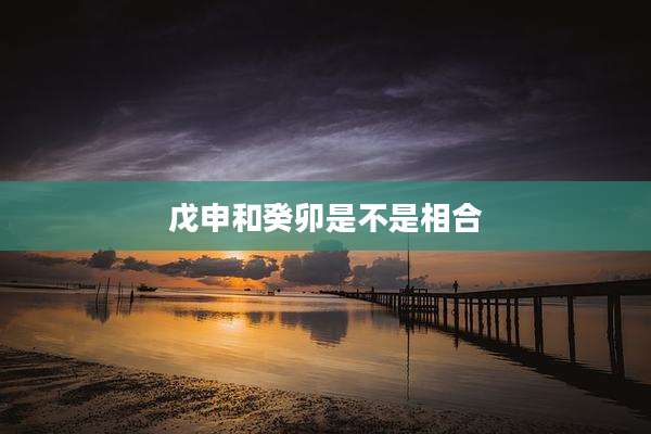 戊申和癸卯是不是相合