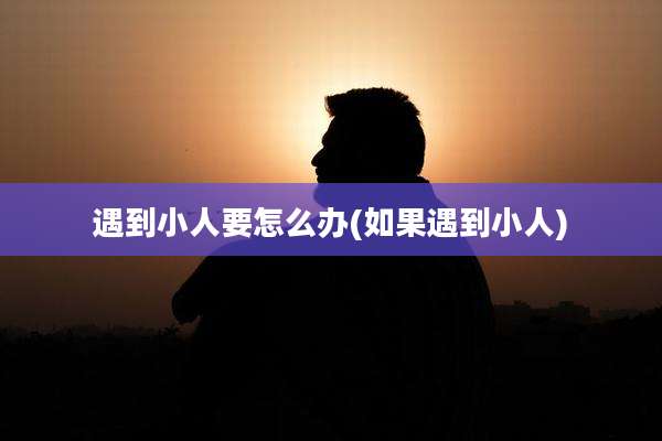 遇到小人要怎么办(如果遇到小人)