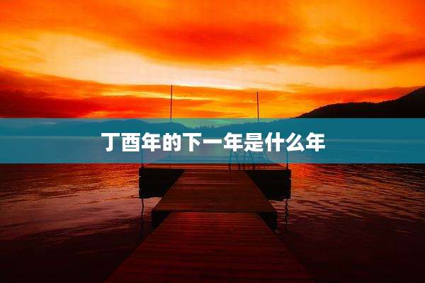 丁酉年的下一年是什么年