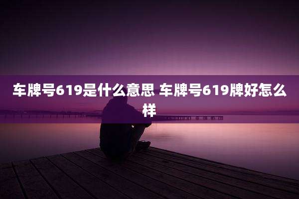 车牌号619是什么意思 车牌号619牌好怎么样