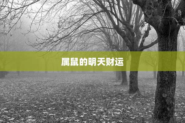 属鼠的明天财运