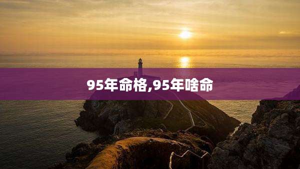 95年命格,95年啥命