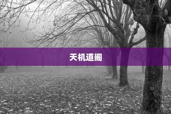天机道阁