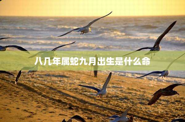 八几年属蛇九月出生是什么命