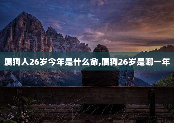 属狗人26岁今年是什么命,属狗26岁是哪一年