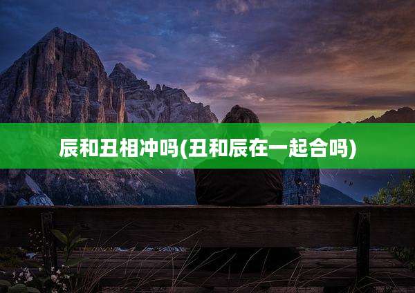 辰和丑相冲吗(丑和辰在一起合吗)
