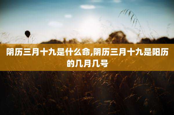 阴历三月十九是什么命,阴历三月十九是阳历的几月几号
