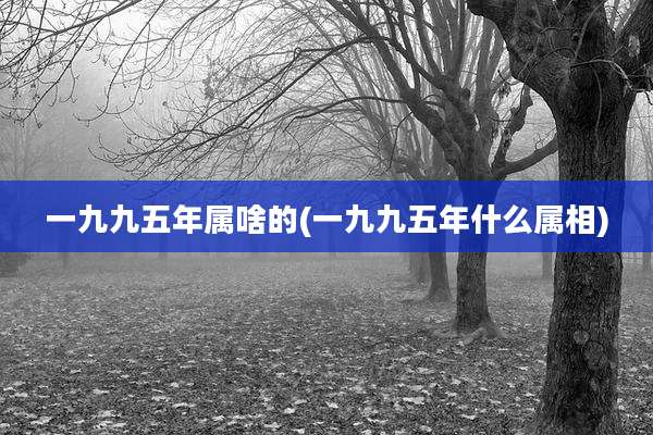 一九九五年属啥的(一九九五年什么属相)