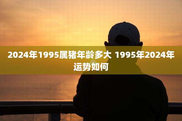 2024年1995属猪年龄多大 1995年2024年运势如何