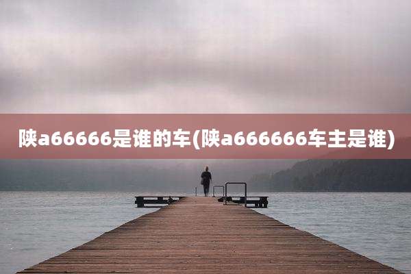 陕a66666是谁的车(陕a666666车主是谁)