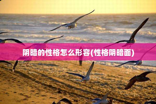 阴暗的性格怎么形容(性格阴暗面)