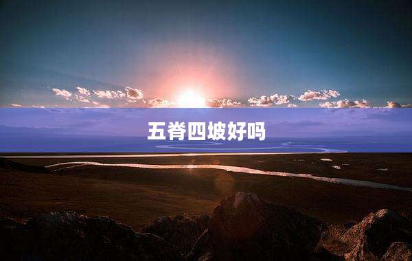 五脊四坡好吗