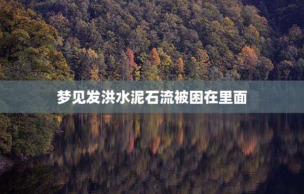 梦见发洪水泥石流被困在里面