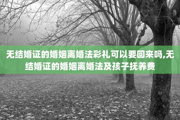 无结婚证的婚姻离婚法彩礼可以要回来吗,无结婚证的婚姻离婚法及孩子抚养费