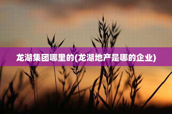 龙湖集团哪里的(龙湖地产是哪的企业)