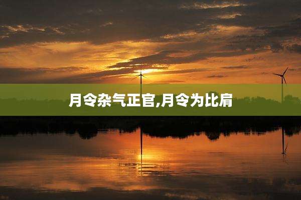 月令杂气正官,月令为比肩
