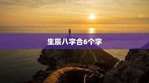 生辰八字合6个字
