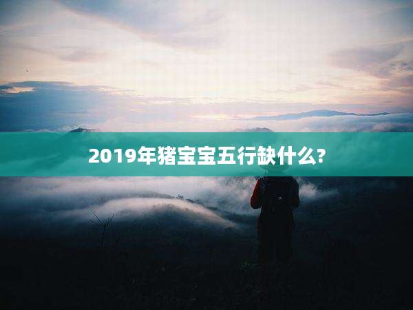 2019年猪宝宝五行缺什么?
