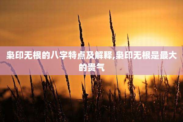 枭印无根的八字特点及解释,枭印无根是最大的贵气