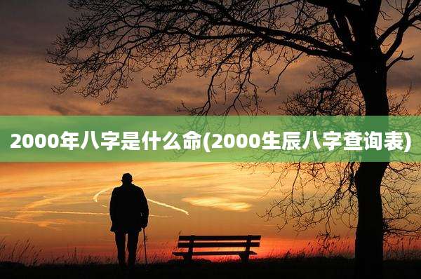 2000年八字是什么命(2000生辰八字查询表)
