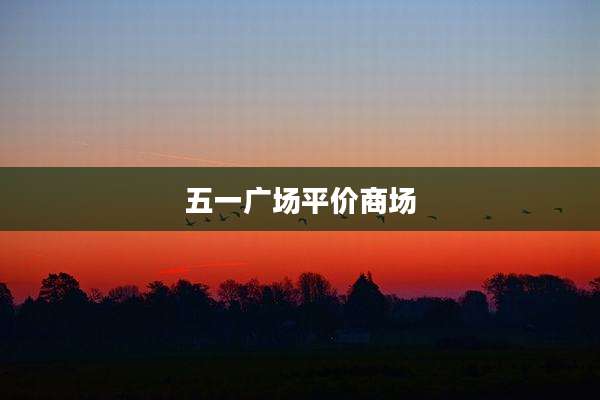 五一广场平价商场