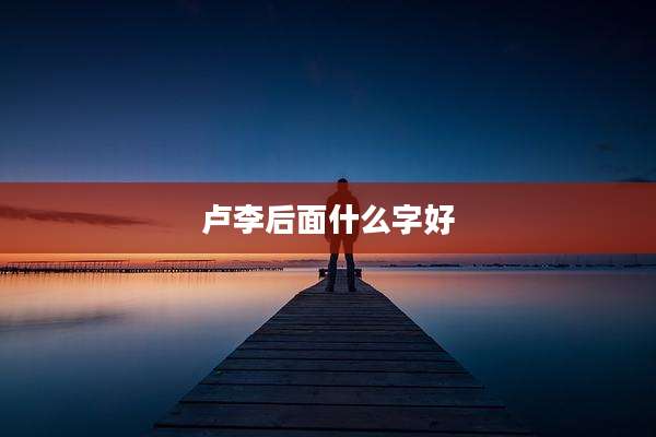 卢李后面什么字好
