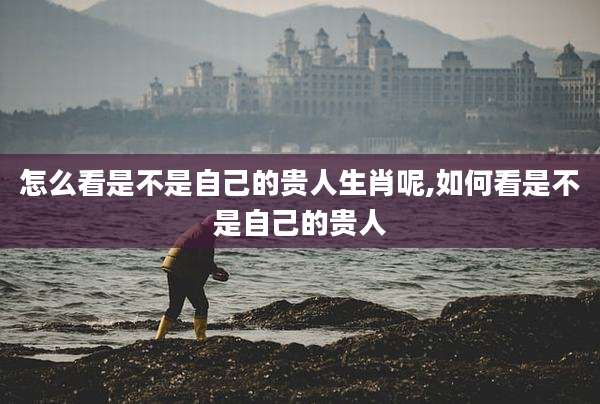 怎么看是不是自己的贵人生肖呢,如何看是不是自己的贵人