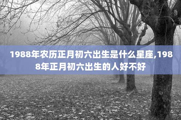 1988年农历正月初六出生是什么星座,1988年正月初六出生的人好不好