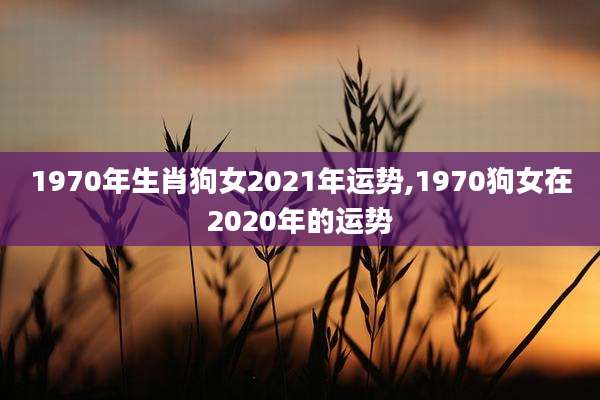 1970年生肖狗女2021年运势,1970狗女在2020年的运势