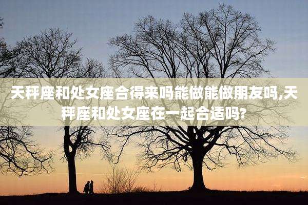 天秤座和处女座合得来吗能做能做朋友吗,天秤座和处女座在一起合适吗?