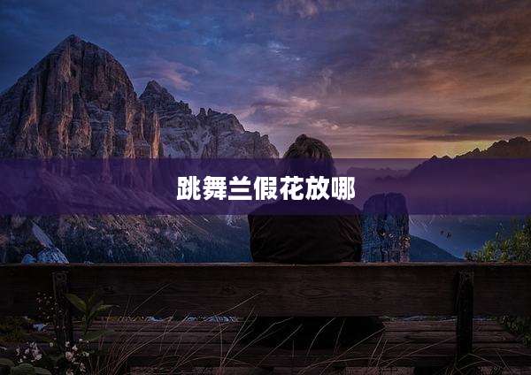跳舞兰假花放哪