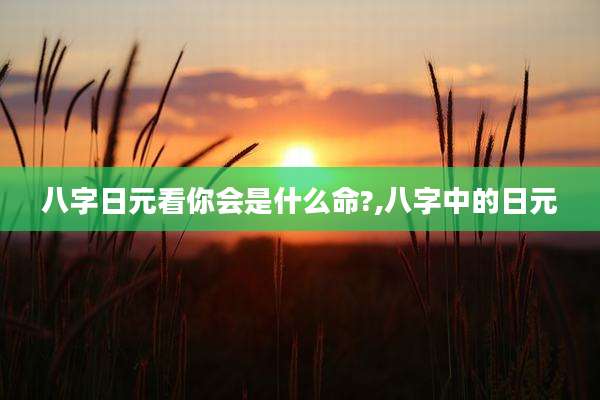八字日元看你会是什么命?,八字中的日元