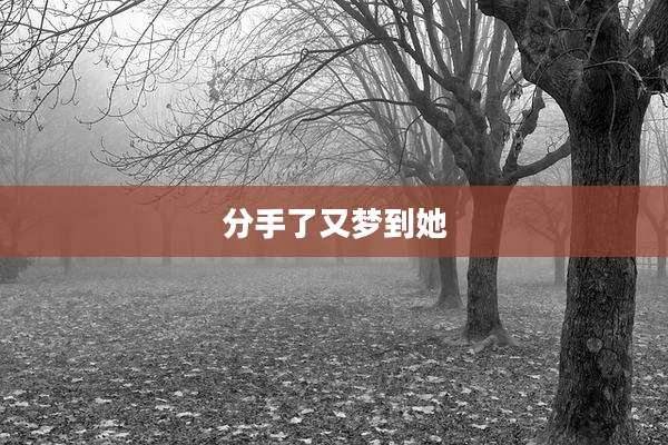 分手了又梦到她