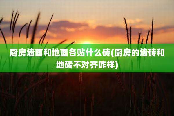 厨房墙面和地面各贴什么砖(厨房的墙砖和地砖不对齐咋样)