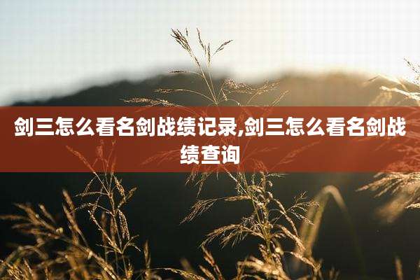 剑三怎么看名剑战绩记录,剑三怎么看名剑战绩查询