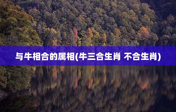 与牛相合的属相(牛三合生肖 不合生肖)