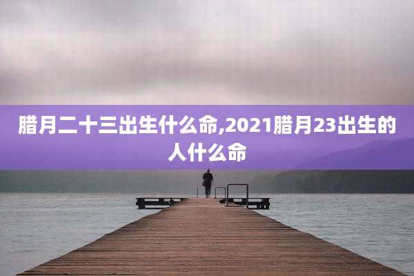 腊月二十三出生什么命,2021腊月23出生的人什么命