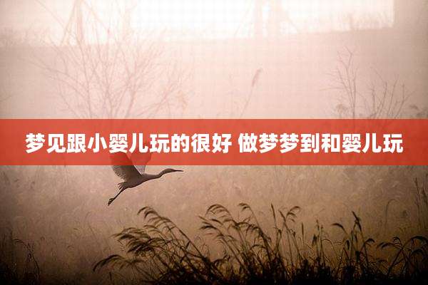 梦见跟小婴儿玩的很好 做梦梦到和婴儿玩