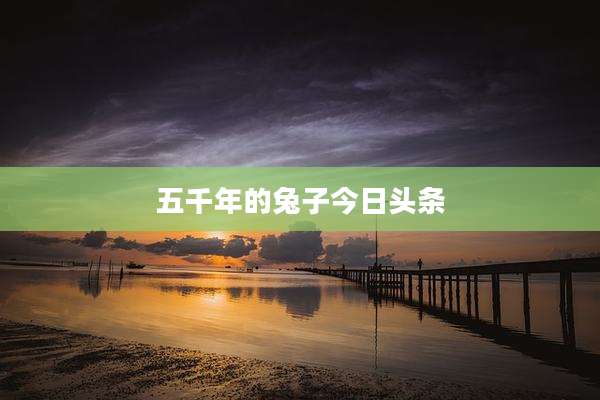 五千年的兔子今日头条