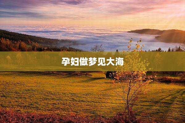 孕妇做梦见大海