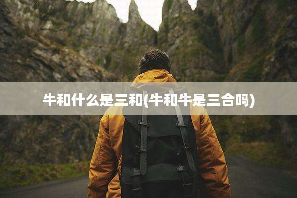 牛和什么是三和(牛和牛是三合吗)