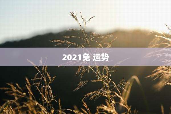 2021兔 运势
