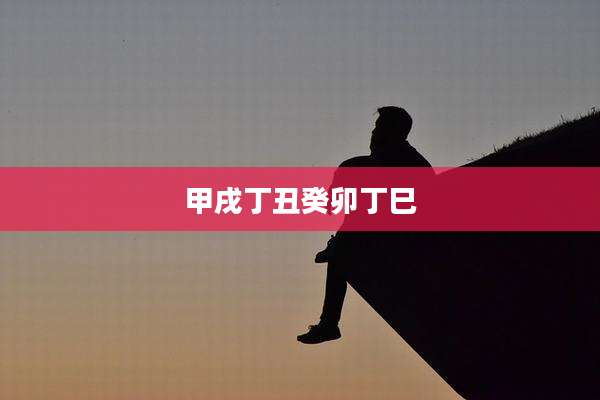甲戌丁丑癸卯丁巳