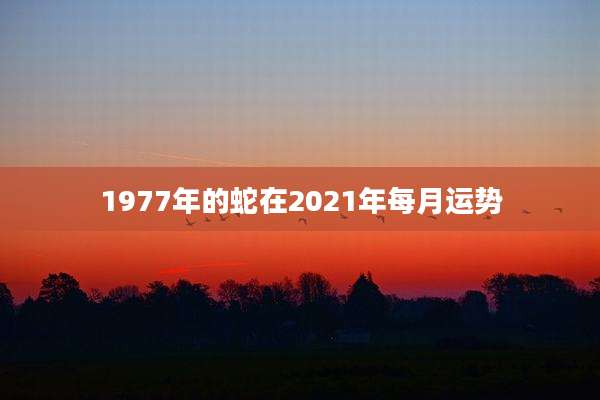 1977年的蛇在2021年每月运势