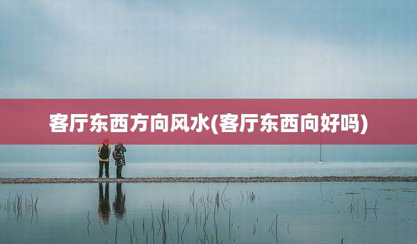 客厅东西方向风水(客厅东西向好吗)
