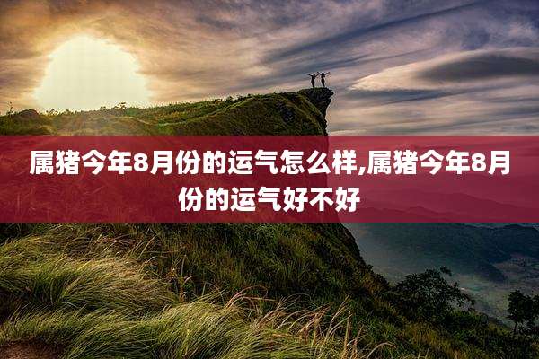 属猪今年8月份的运气怎么样,属猪今年8月份的运气好不好
