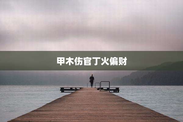 甲木伤官丁火偏财