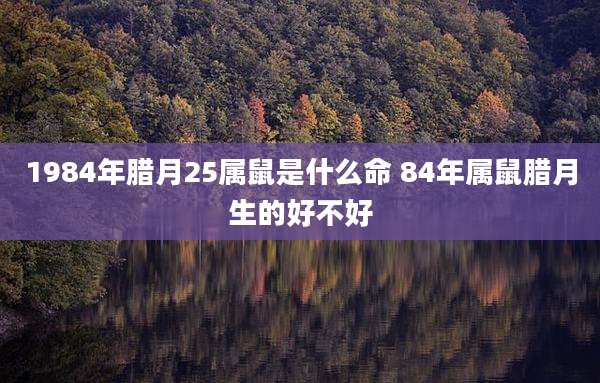 1984年腊月25属鼠是什么命 84年属鼠腊月生的好不好